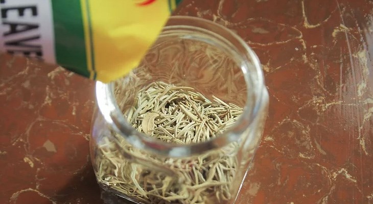 Bước 2 Đổ hương thảo khô vào chai thuỷ tinh Tinh dầu hương thảo từ hương thảo khô